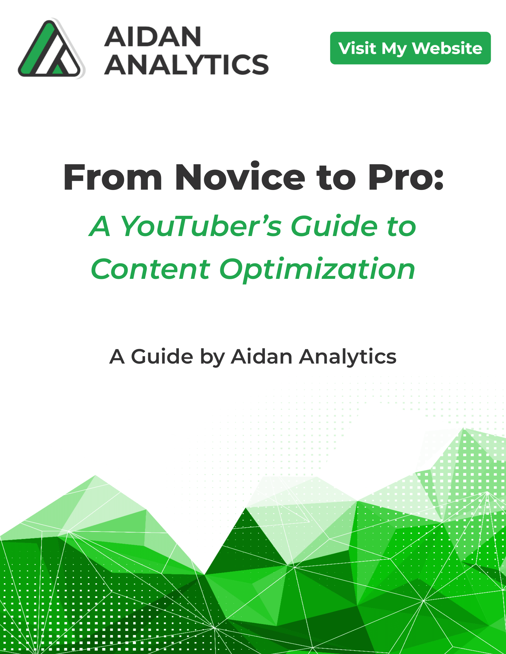 From Novice to Pro: A YouTuber’s Guide to Content Optimization